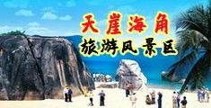 日本大黄免费观看海南三亚-天崖海角旅游风景区